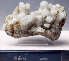 贵州13.8亿重晶石制钡盐项目进入装机阶段